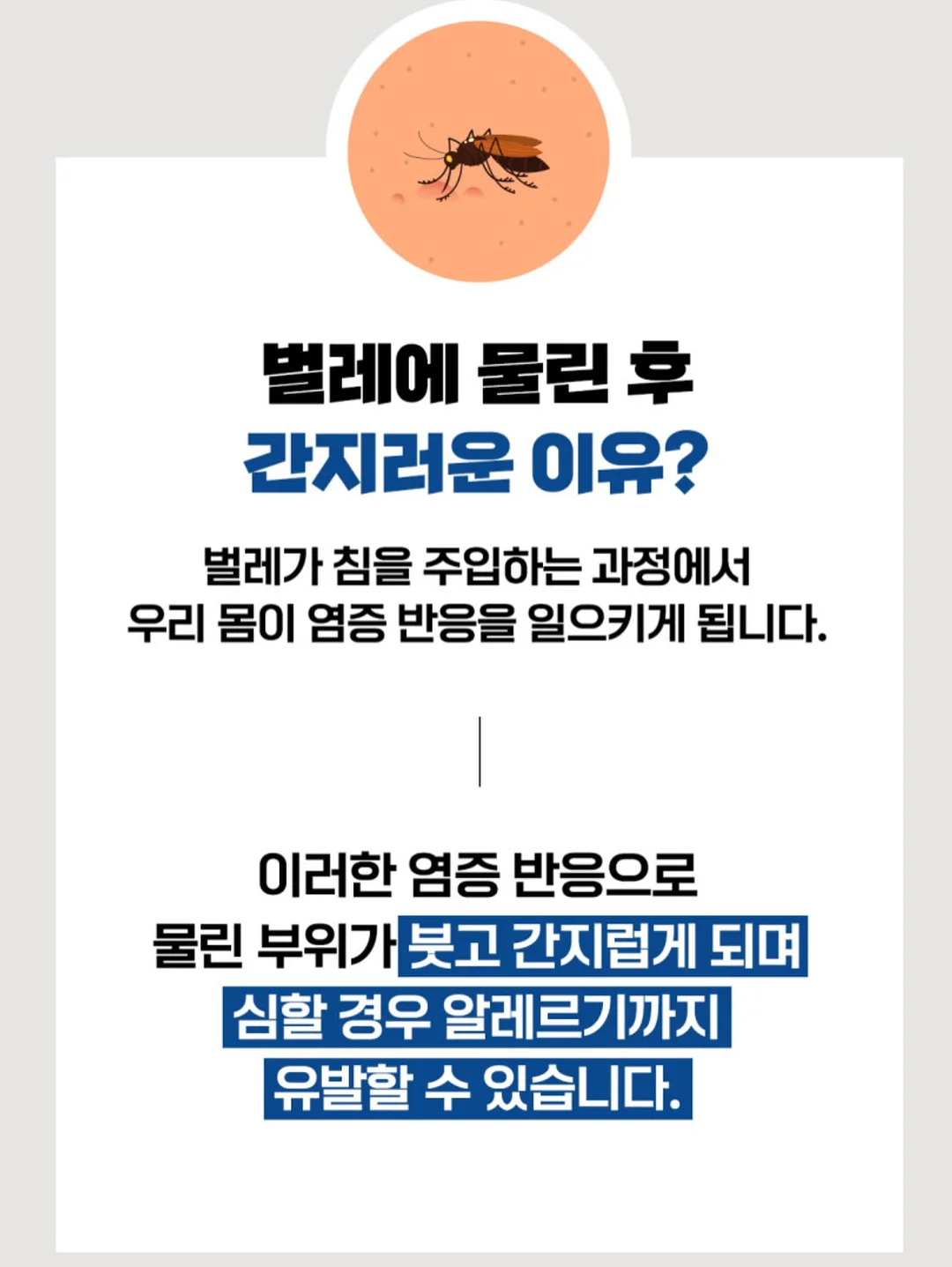 라카 맥시 글레이어 틴트 미니 & 프루티 글램 틴트 기획세트 18