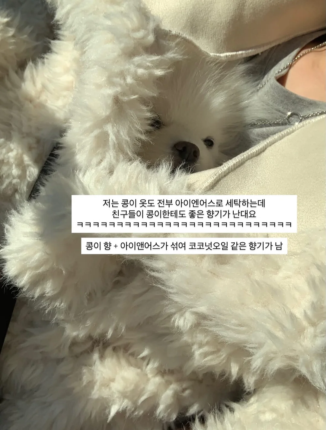 닥터제노 어버이날 한정 선물세트 8