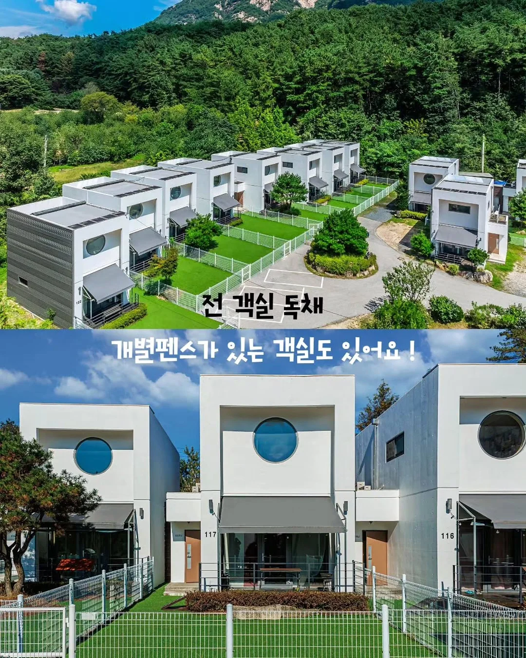 홍코너 땡초장 3