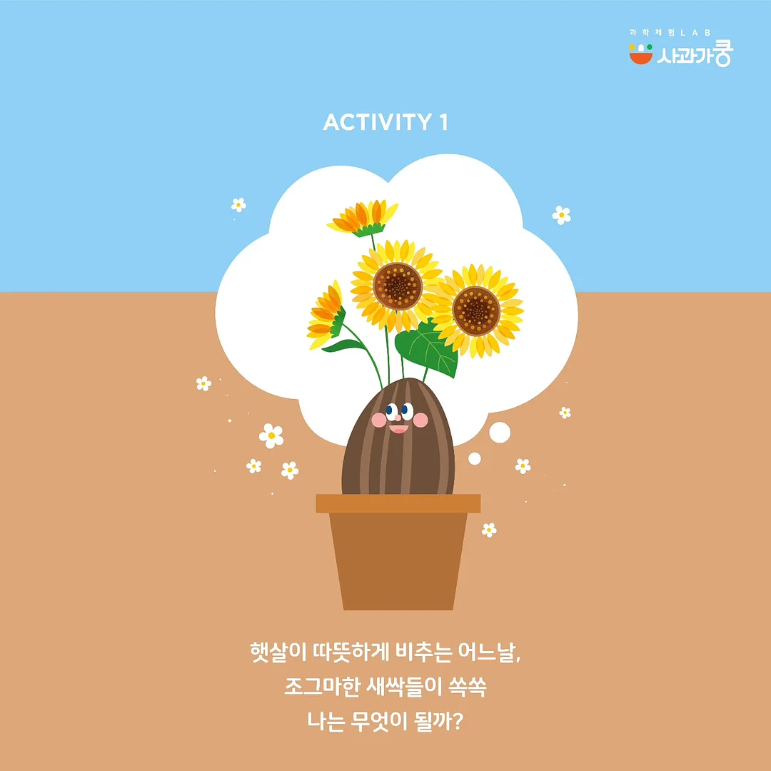 감자 캐기 체험 2