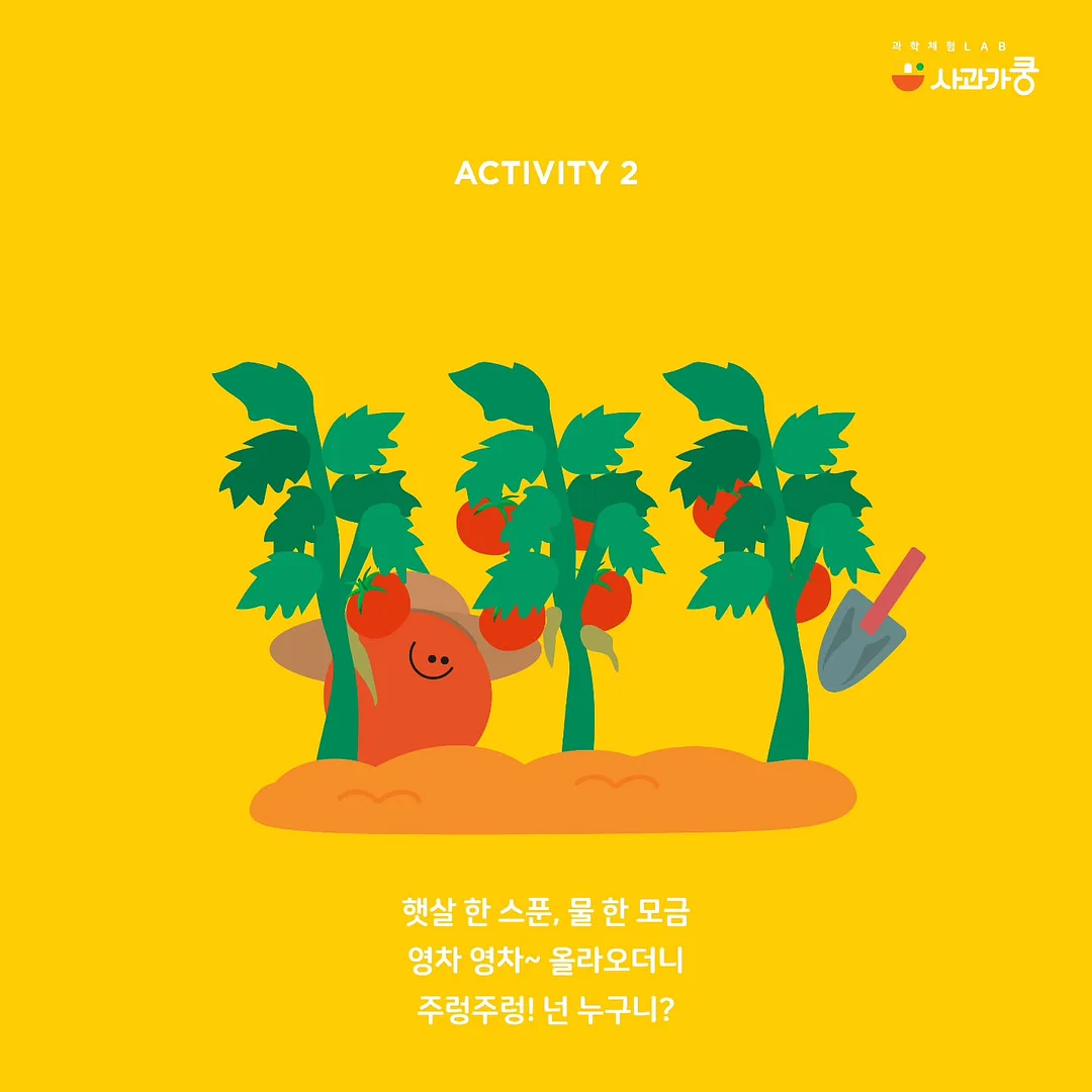 감자 캐기 체험 3