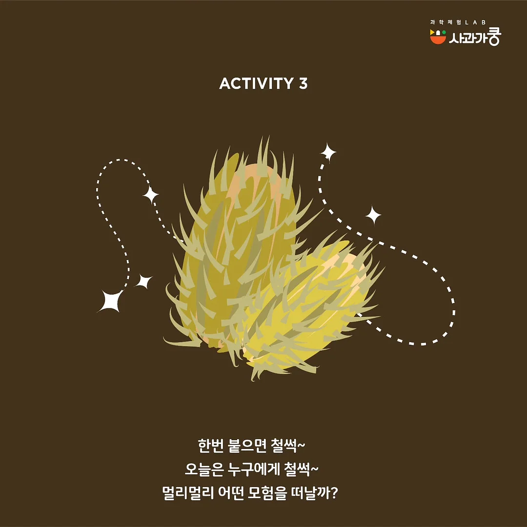 감자 캐기 체험 4