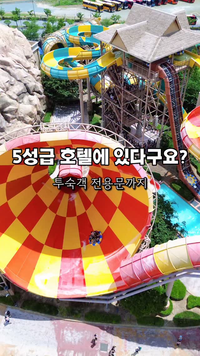 진저 이야기 뉴스레터 구독