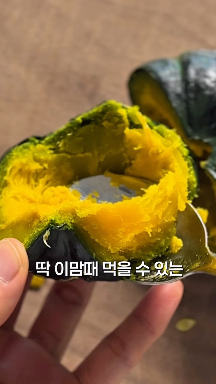 상하이 가족여행 스냅사진