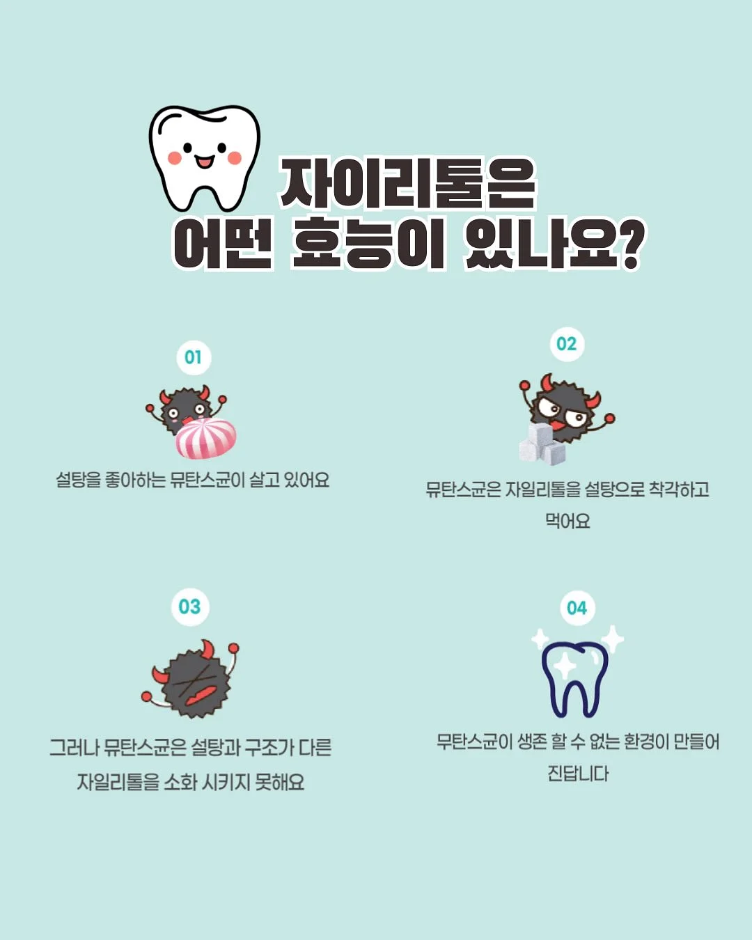 엘리 베이직 비키니 6