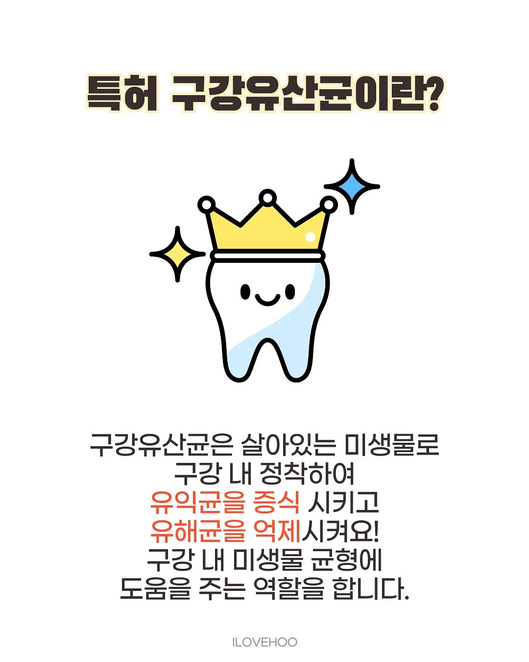 엘리 베이직 비키니 7