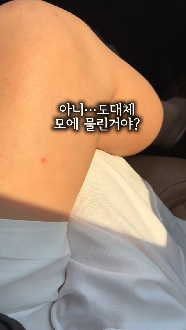 그래픽 반팔티