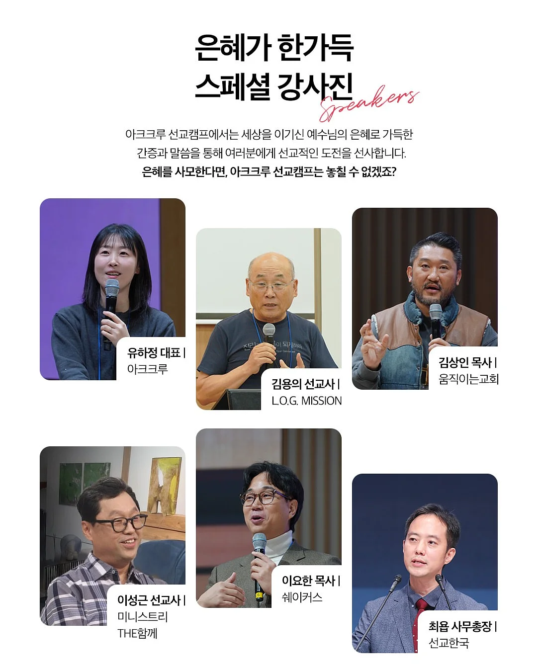 도시락 카네이션 케이크 7