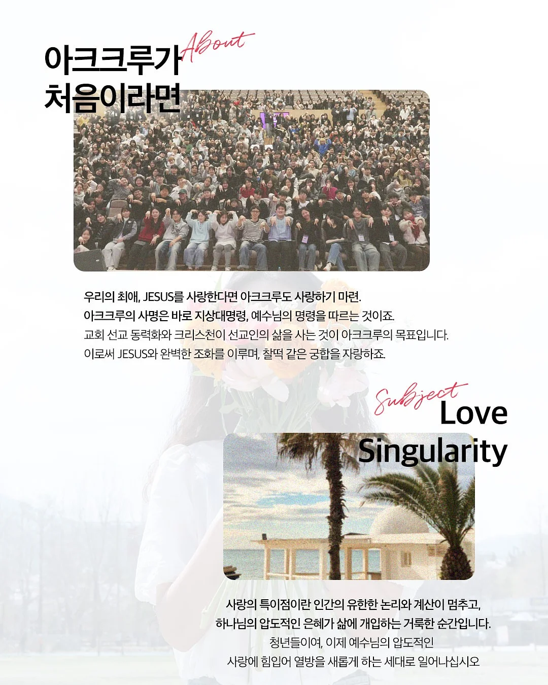 도시락 카네이션 케이크 9