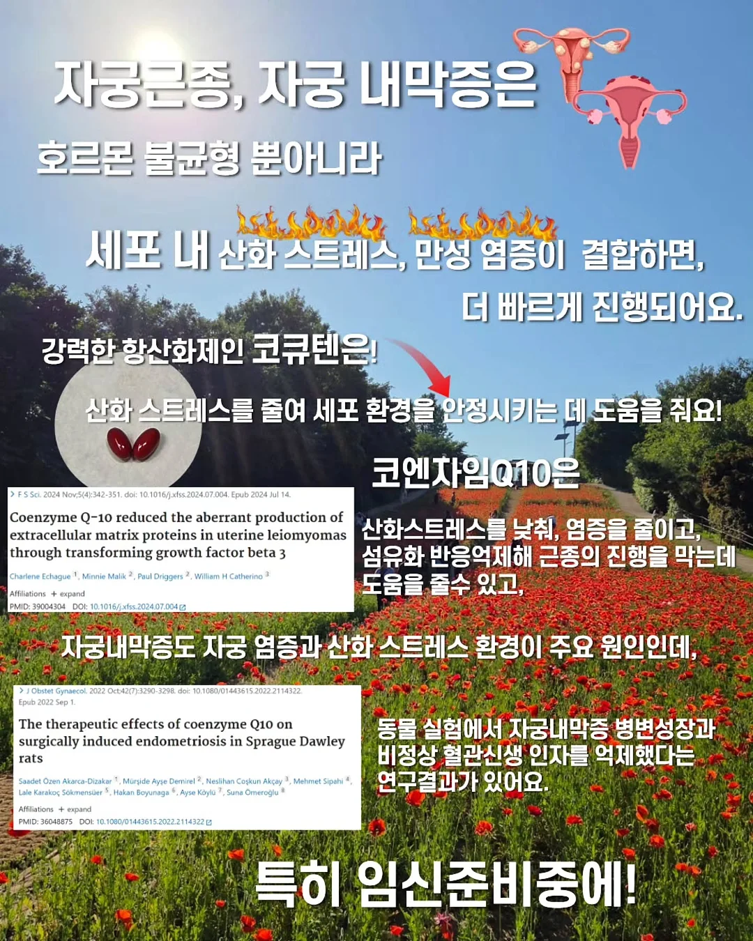 셔츠 2