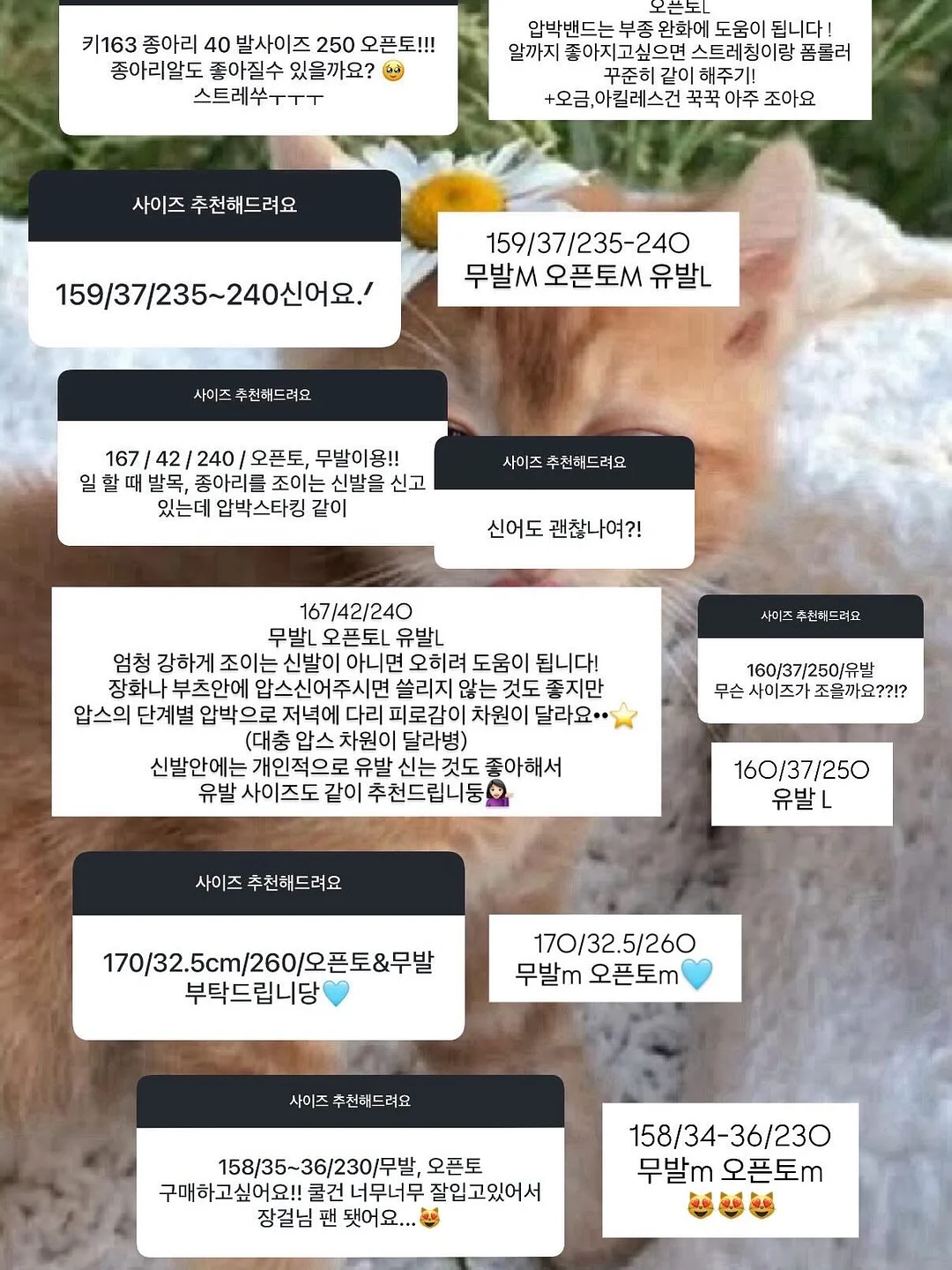 커스텀 마우스 케이스 12