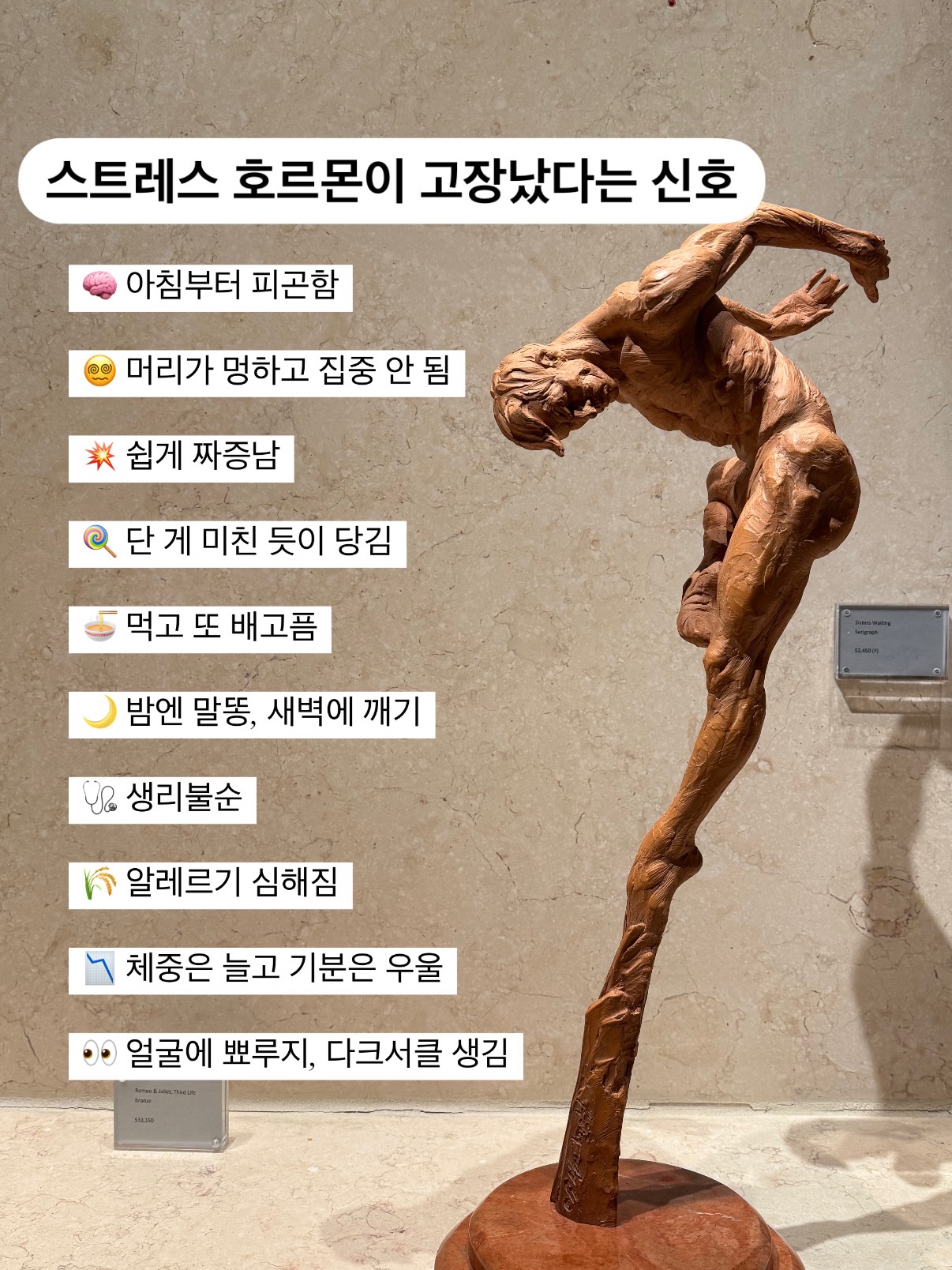 드제코 보드게임 1