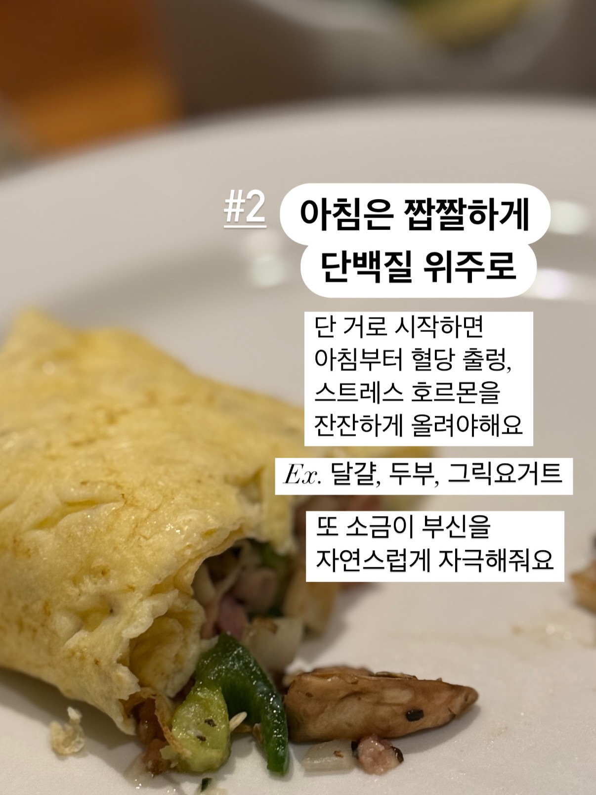 드제코 보드게임 3
