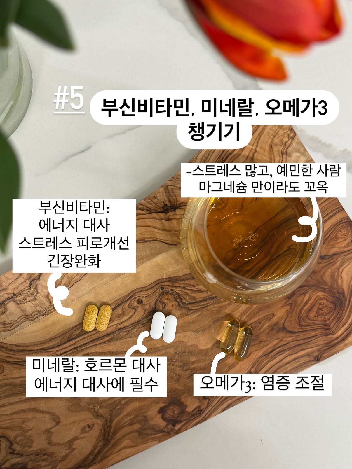 드제코 보드게임 6