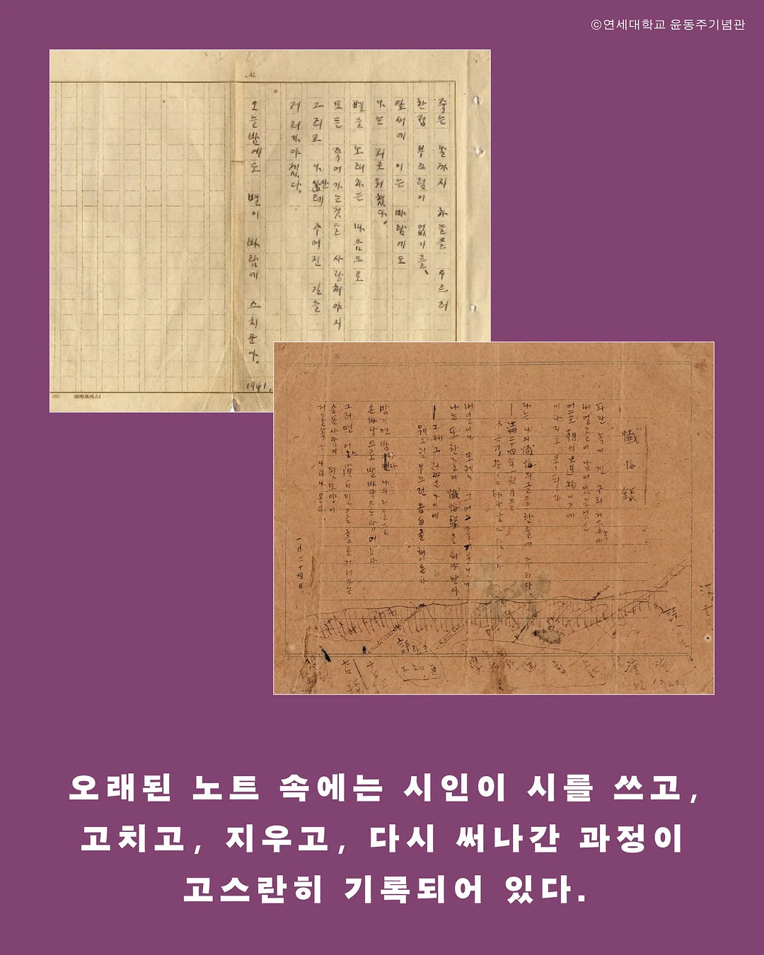 프리미엄 바우셀 목살 불백 3