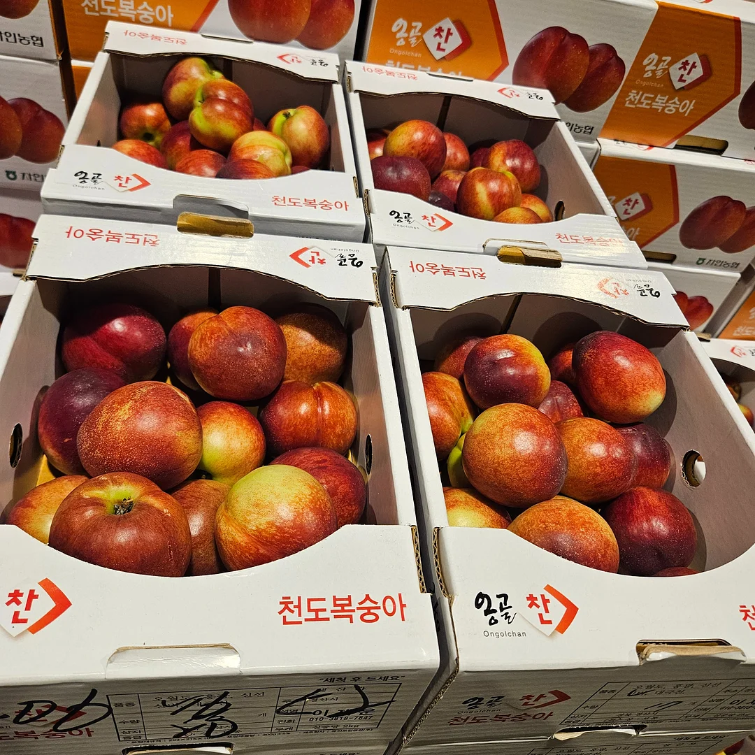 시나몬 우드 티코스터 2