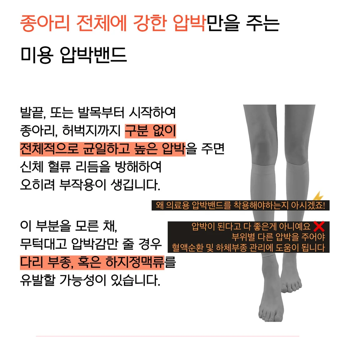 CD 앨범 5