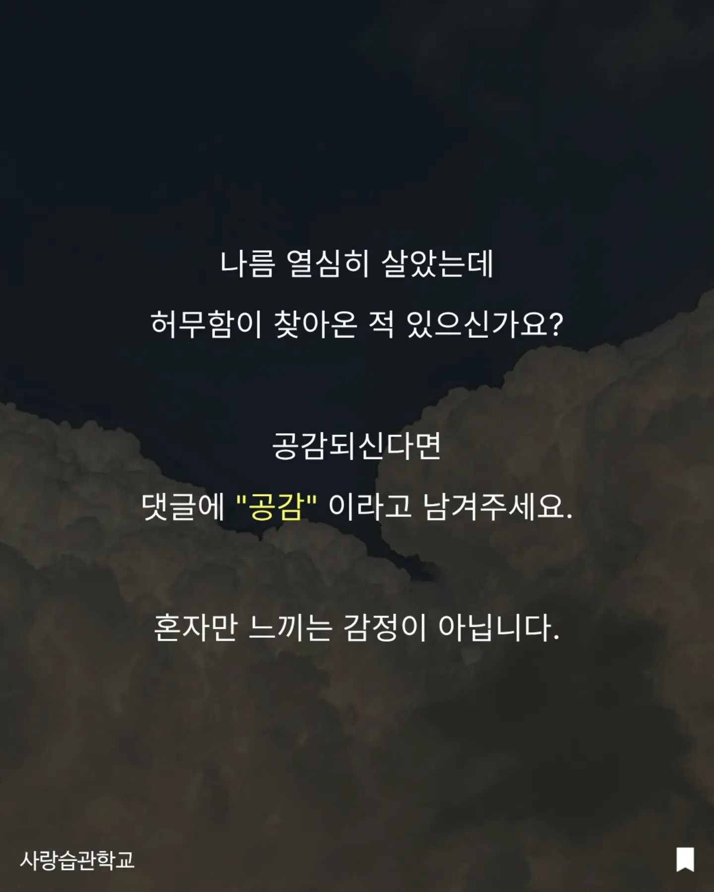 수박 커터기 11