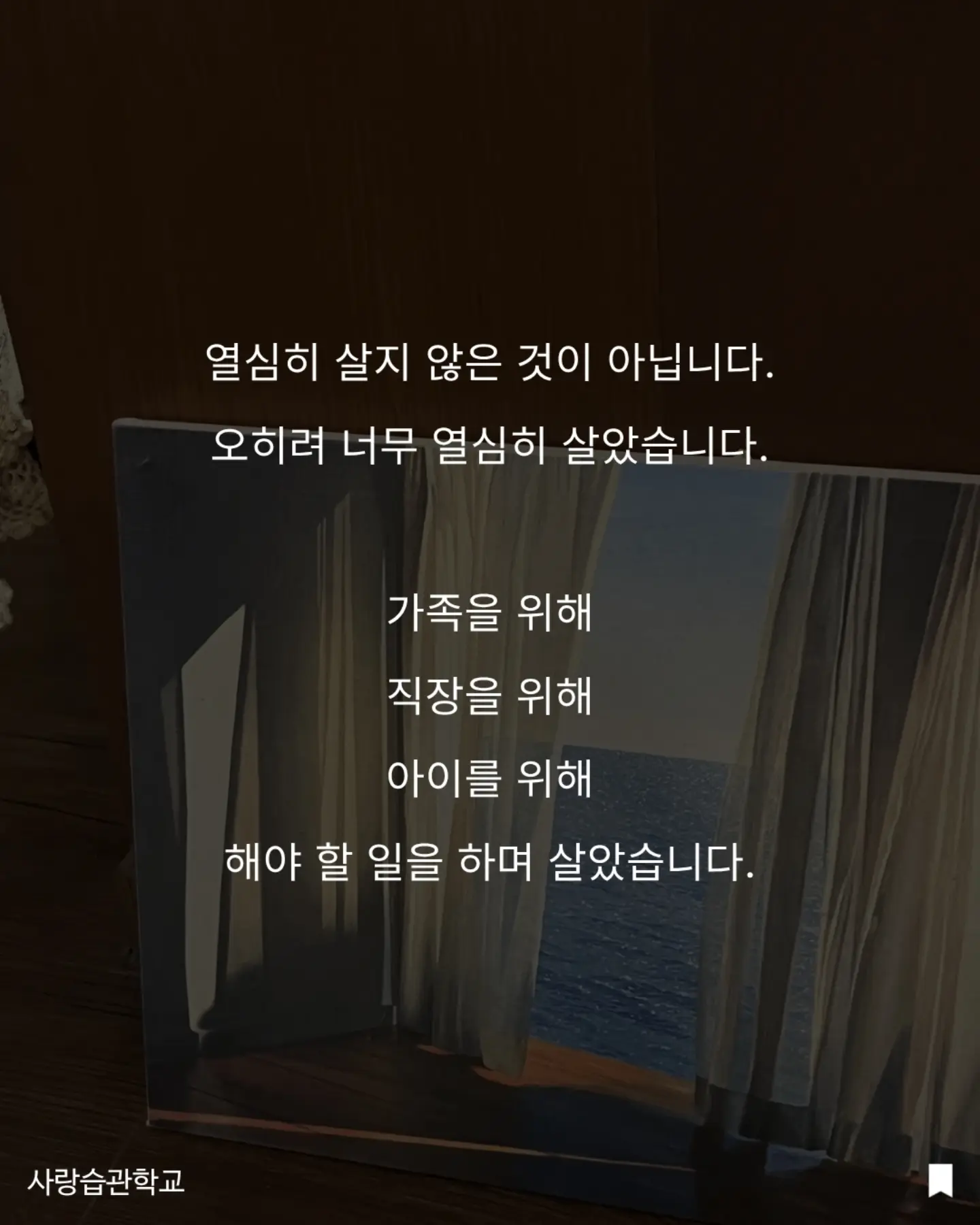 수박 커터기 3