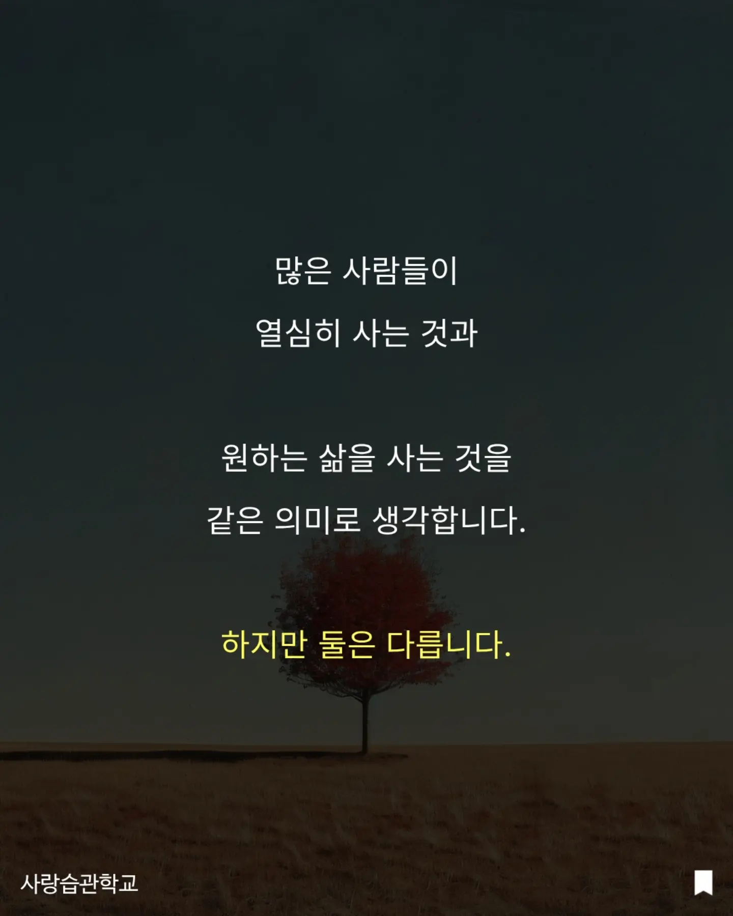수박 커터기 5