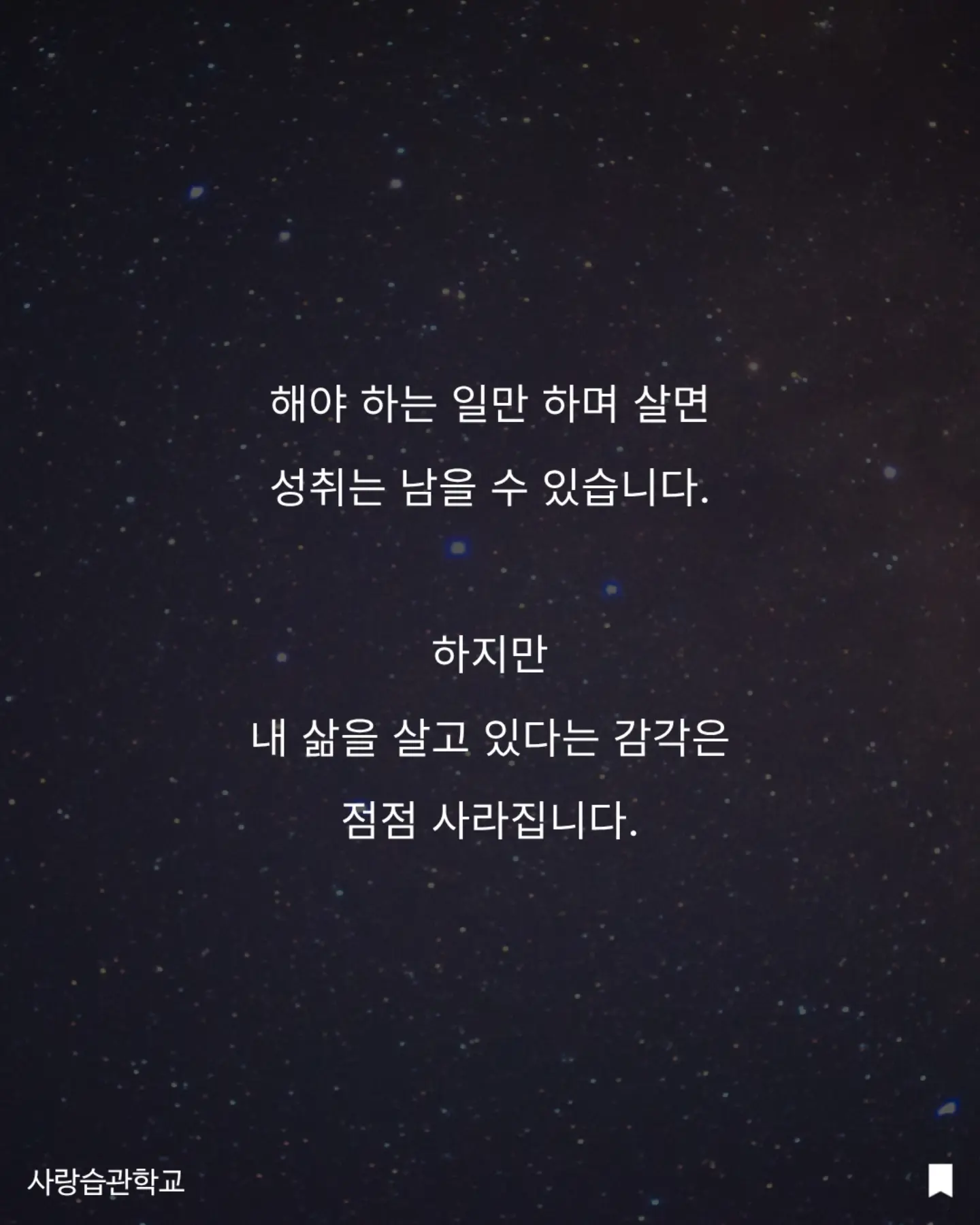 수박 커터기 6
