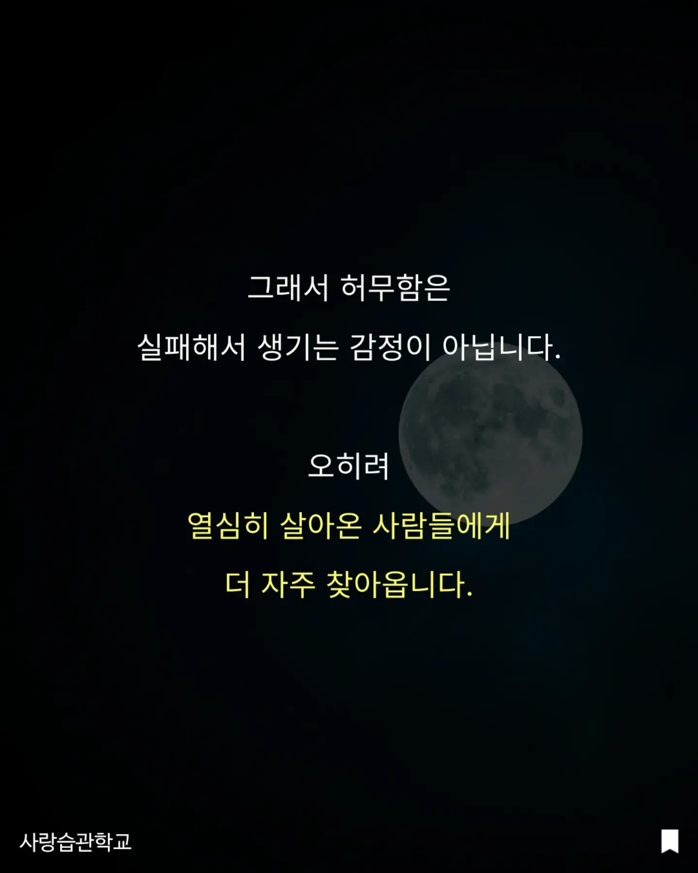 수박 커터기 7