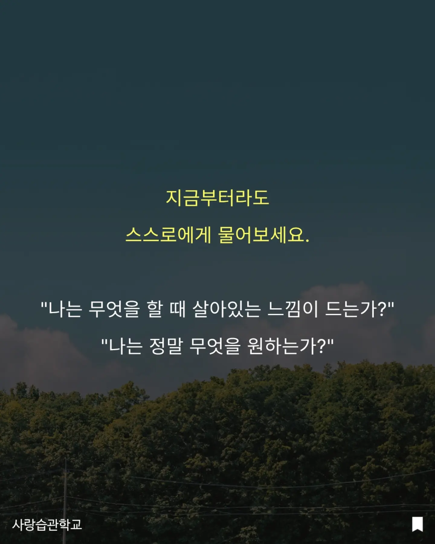 수박 커터기 9