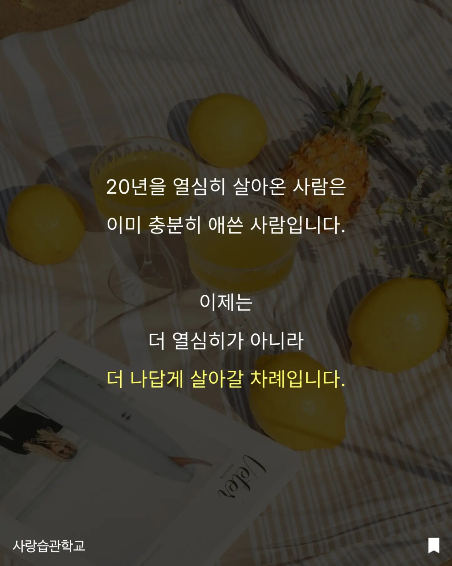 수박 커터기 10