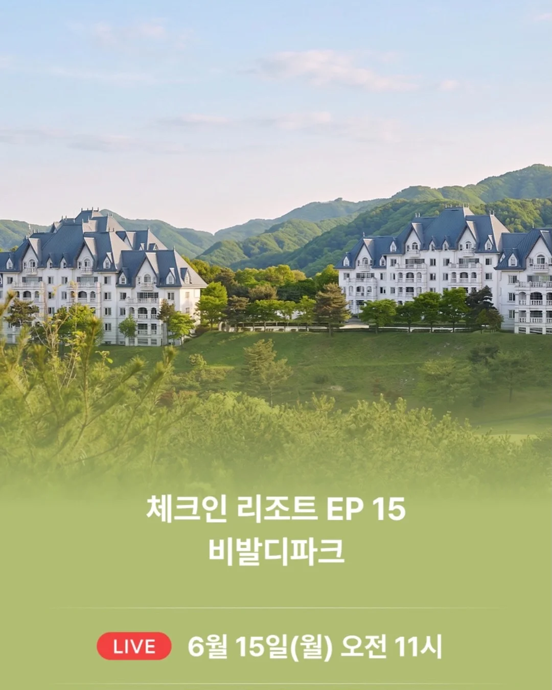 어묵 16