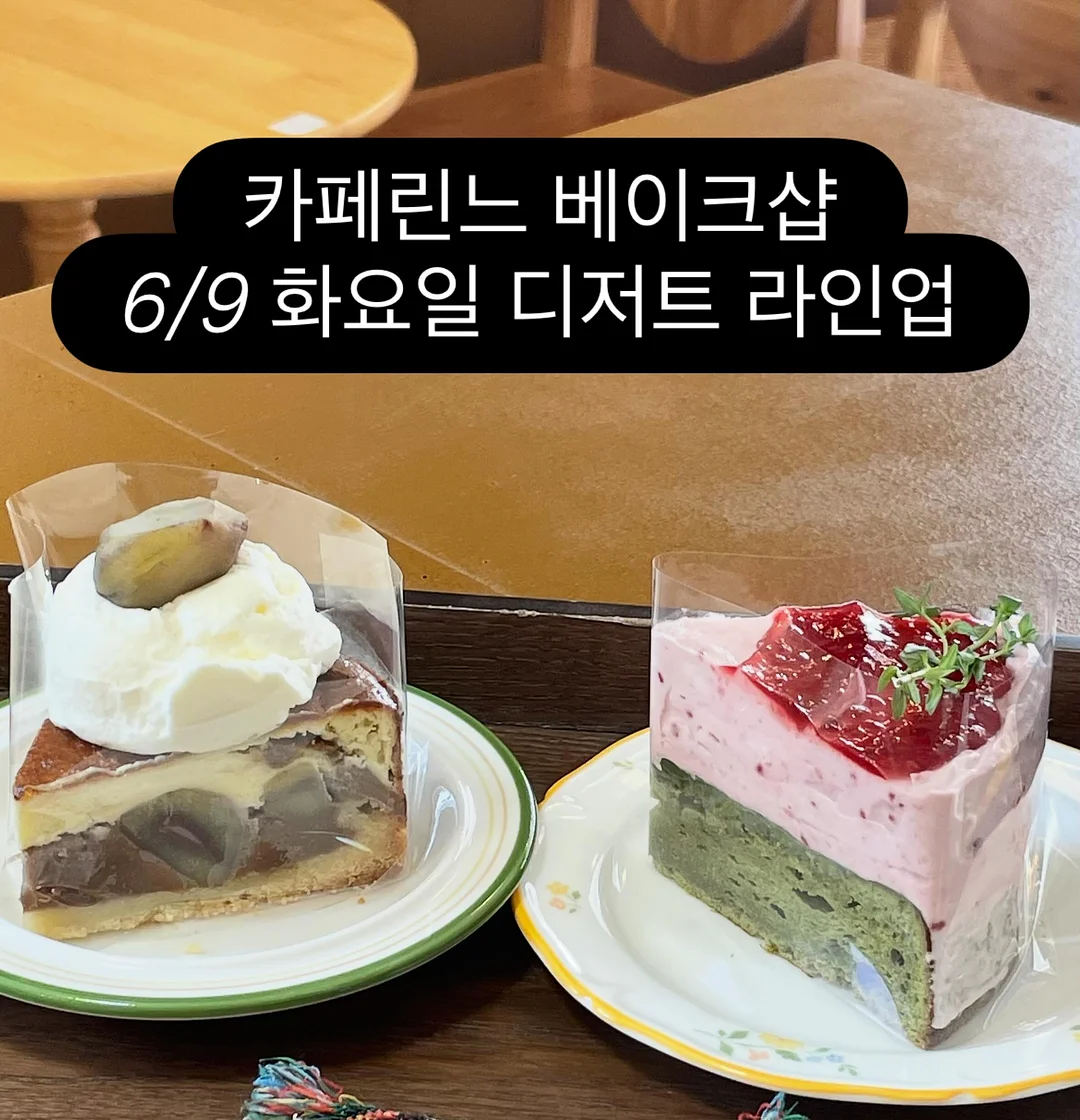 홈케어 서비스