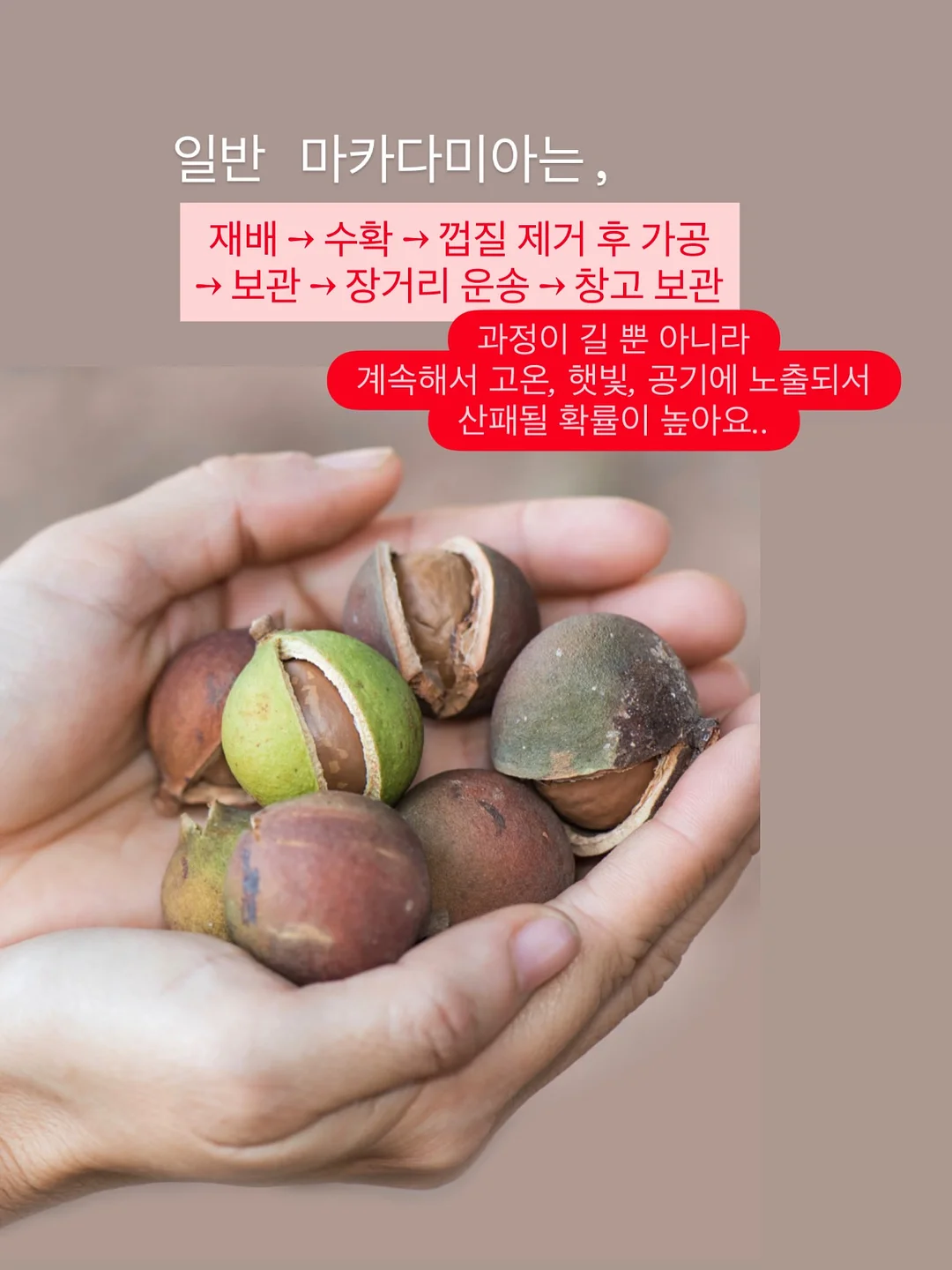푸에고 레드장미 꽃다발 5