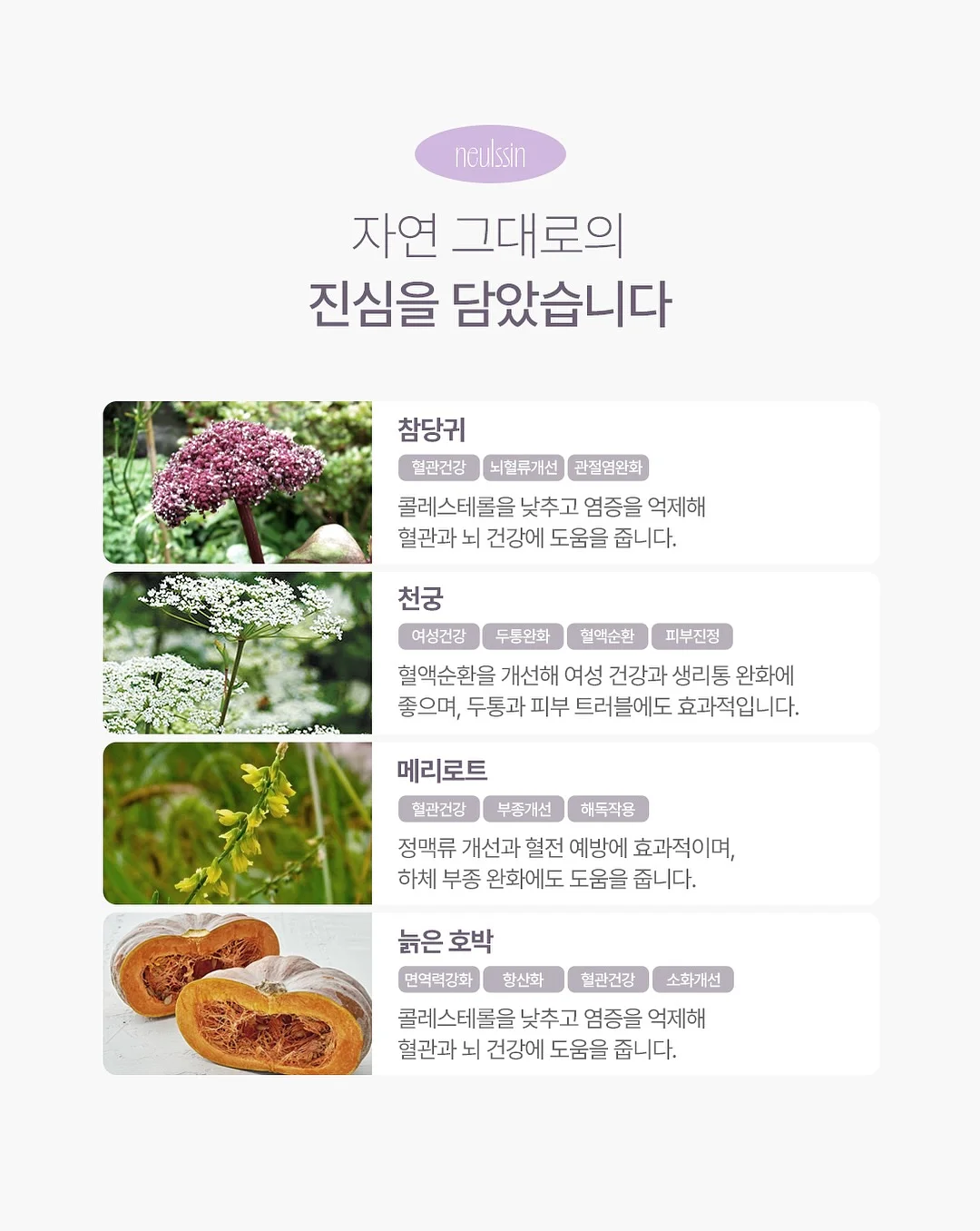 차량용 태양광 카메라 4