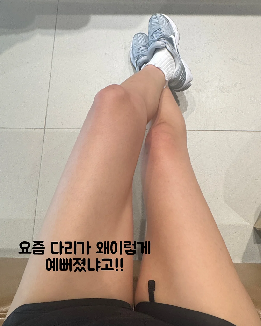 팥빵 1