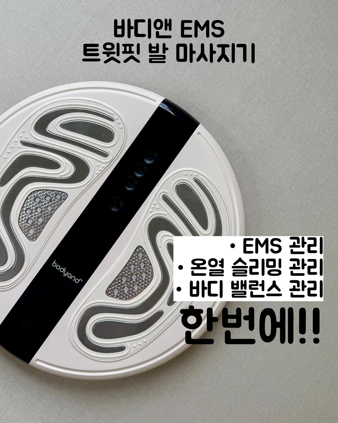 팥빵 12