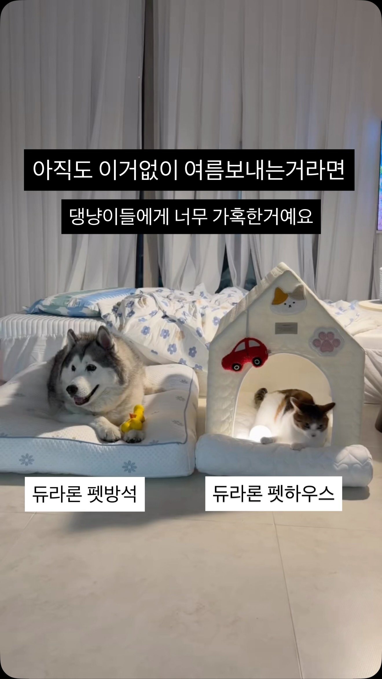 월악산 유스호스텔 제품