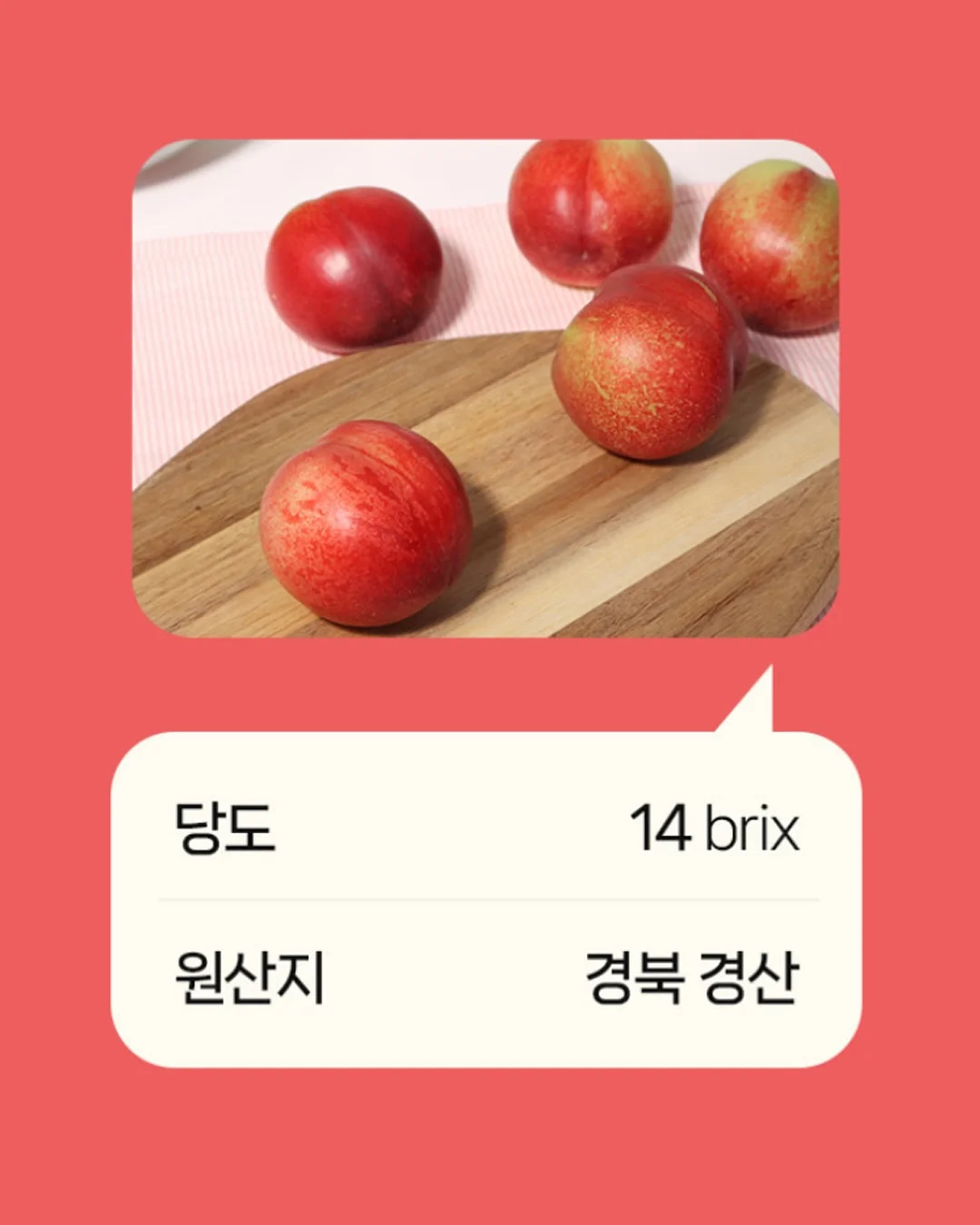 오초특 상품 4