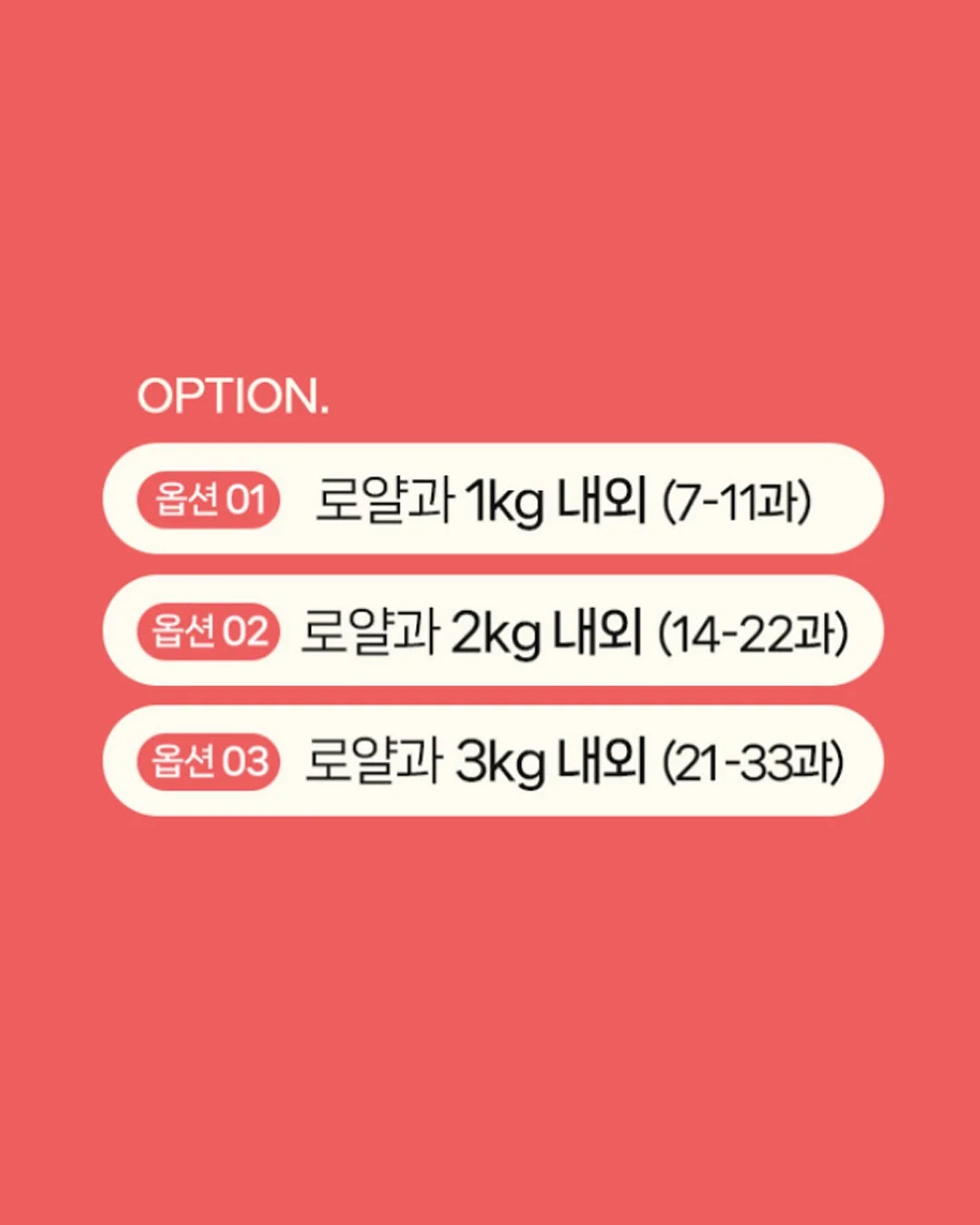 오초특 상품 5