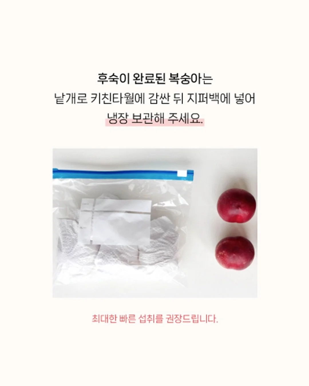 오초특 상품 7