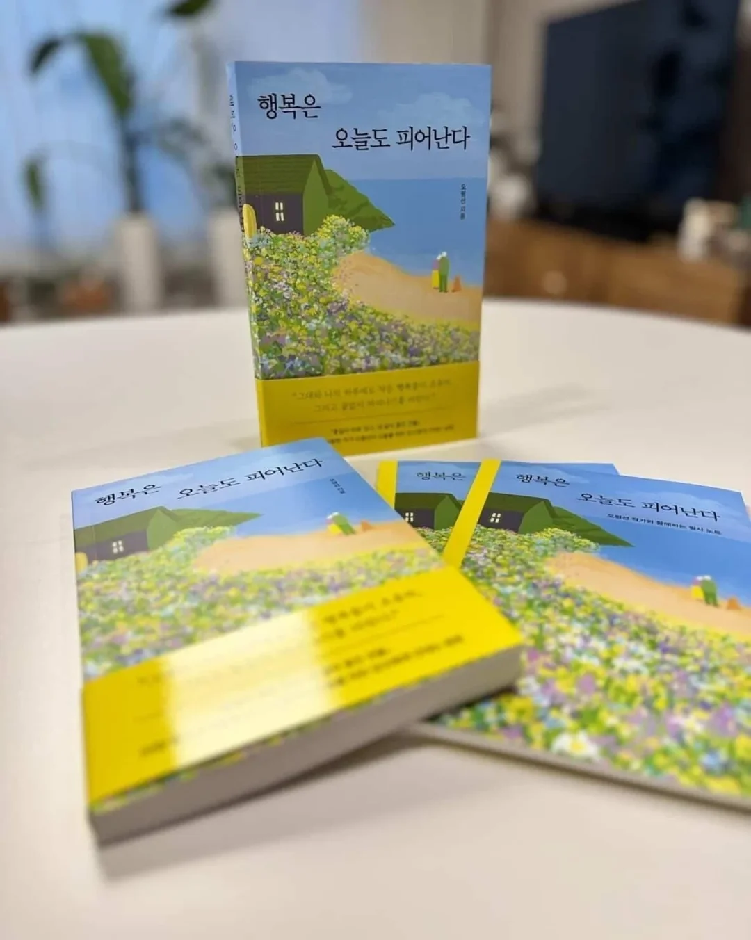 자몽 오렌지 청포도 믹스 과일 2