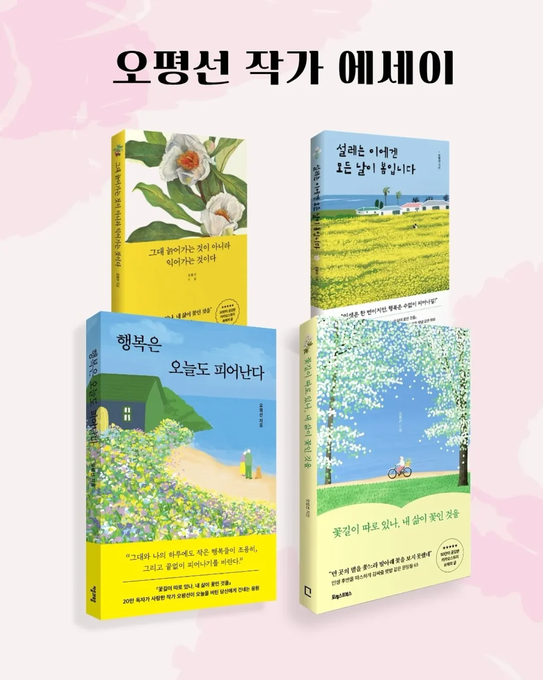 자몽 오렌지 청포도 믹스 과일 3