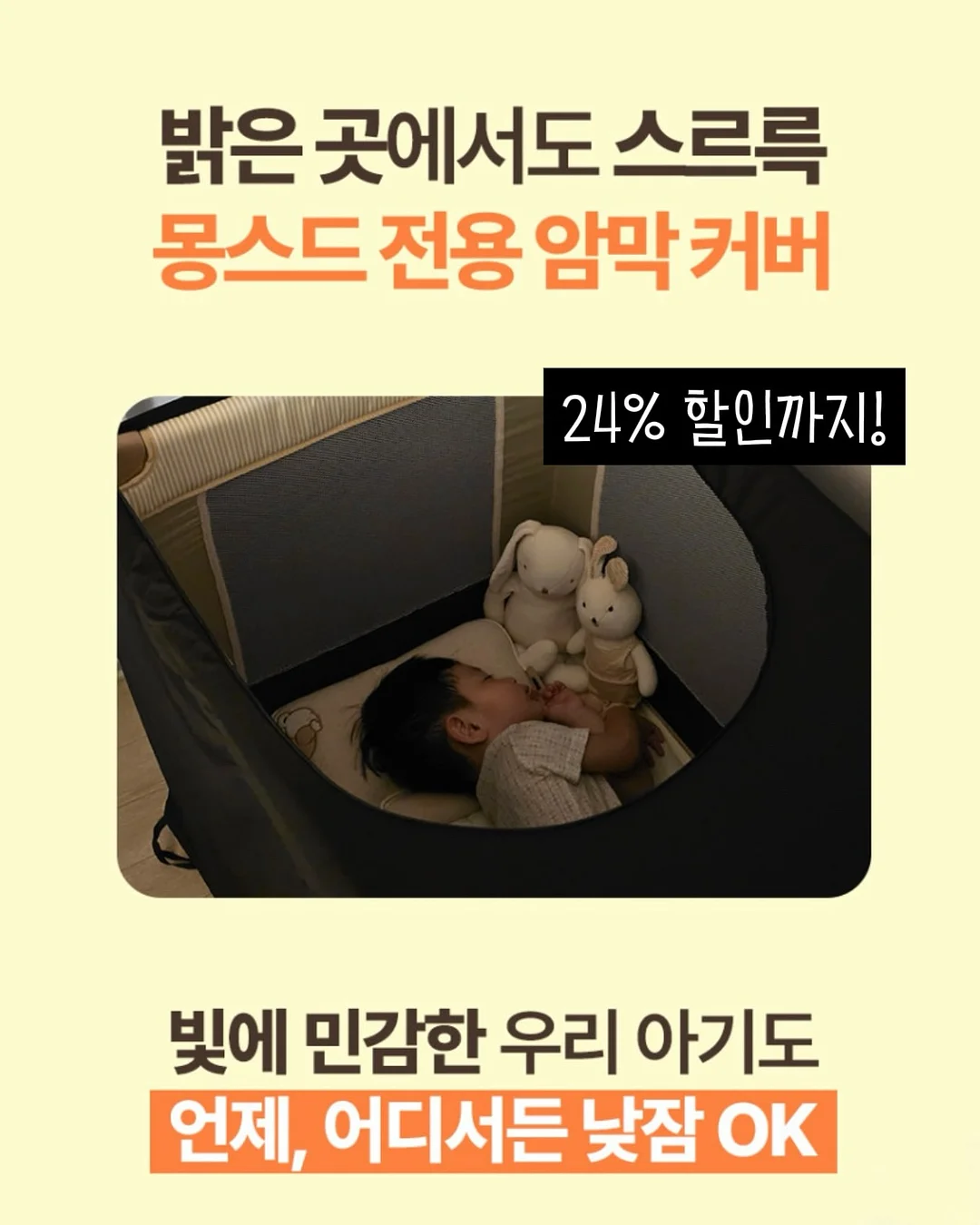 한송이 카네이션 8