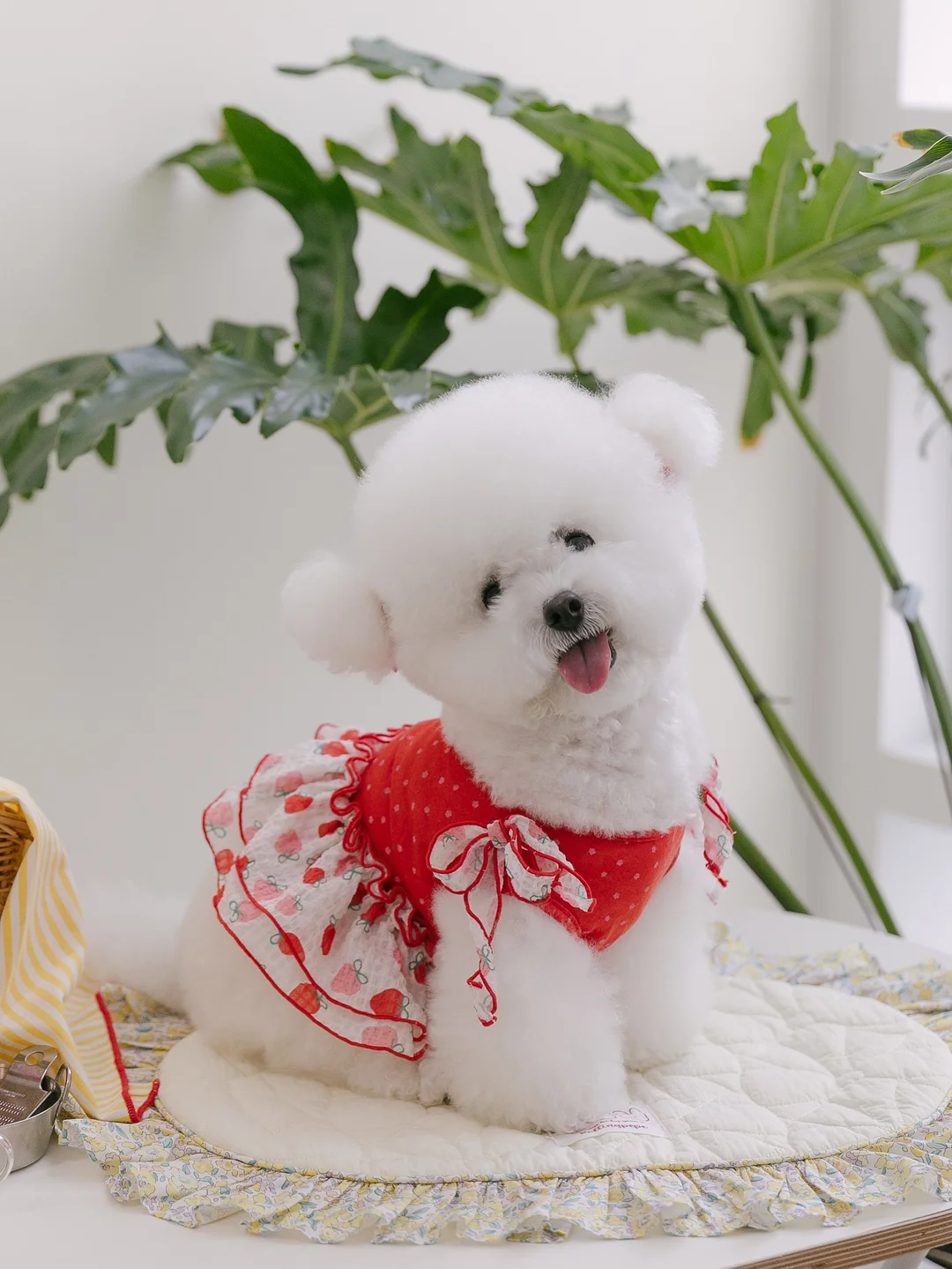 부사 사과 4kg 4