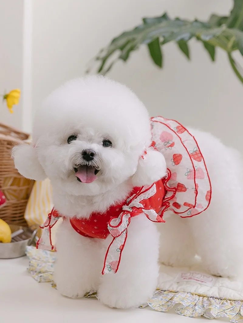 부사 사과 4kg 7