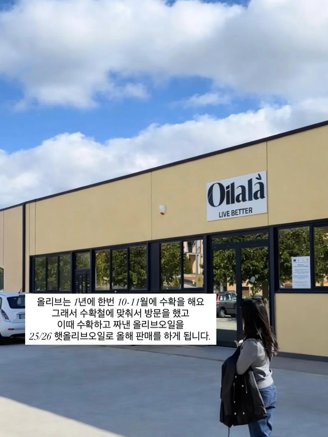 몽이 티셔츠 14