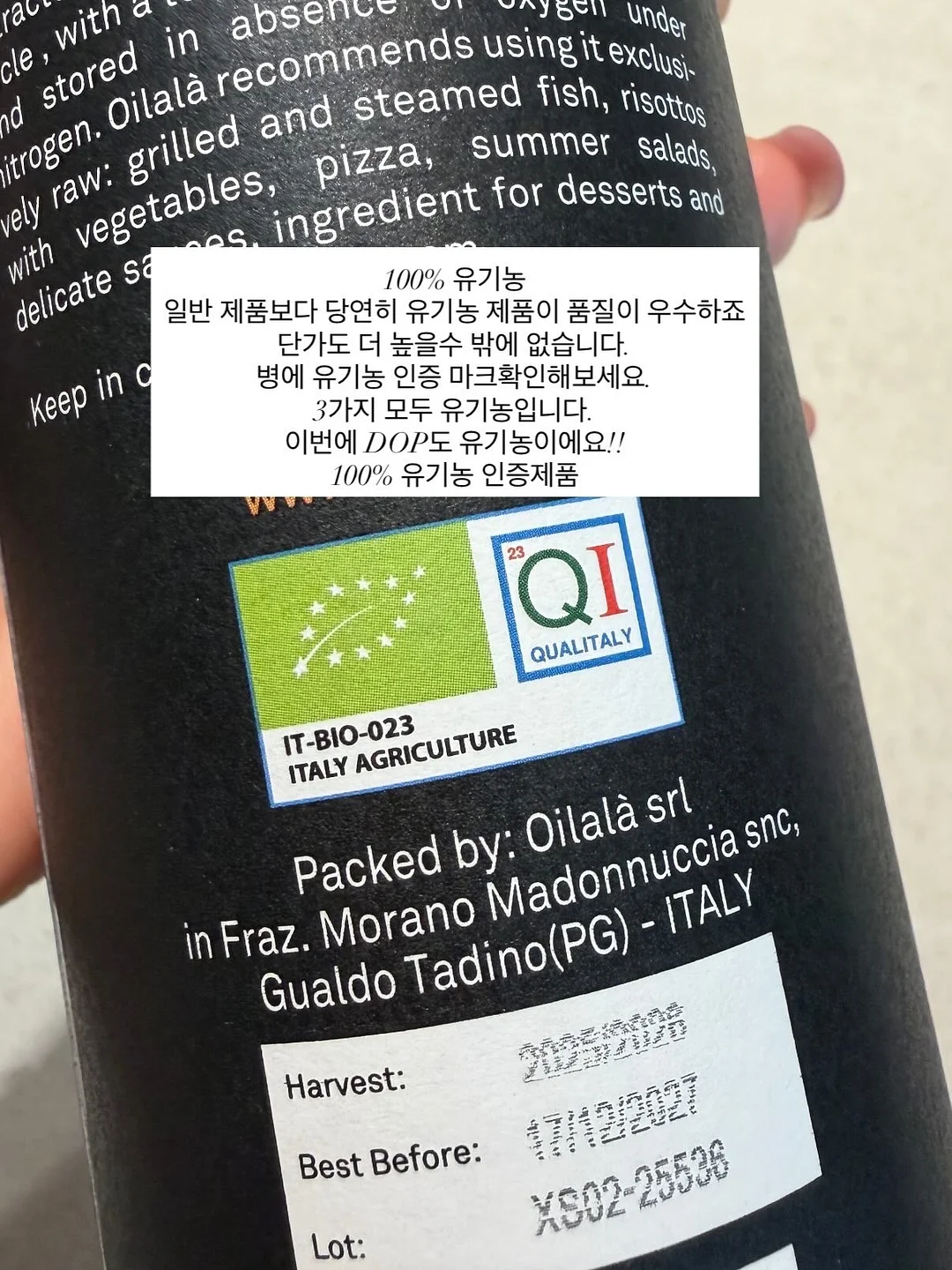 몽이 티셔츠 15