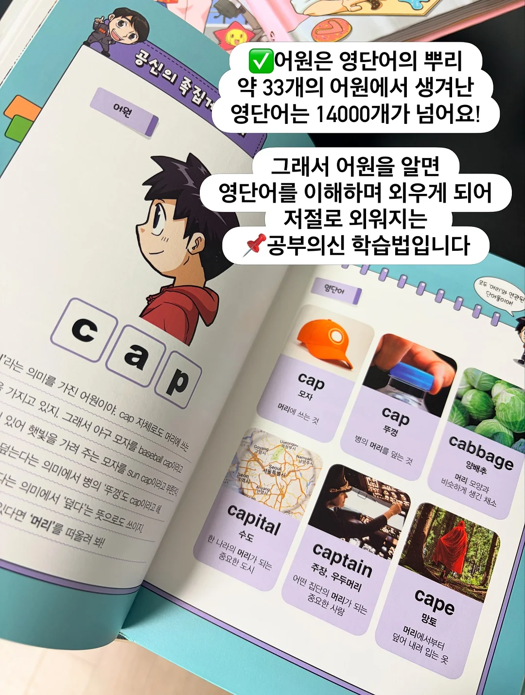 Wallhack SP-005 공각기동대 유리 패드 2