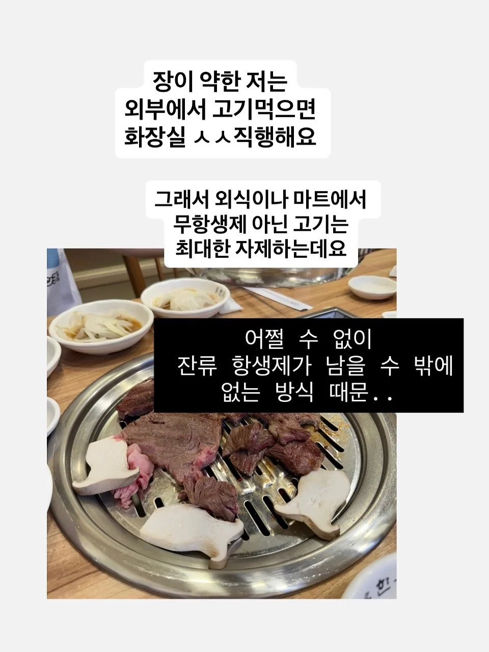 송향버섯 3