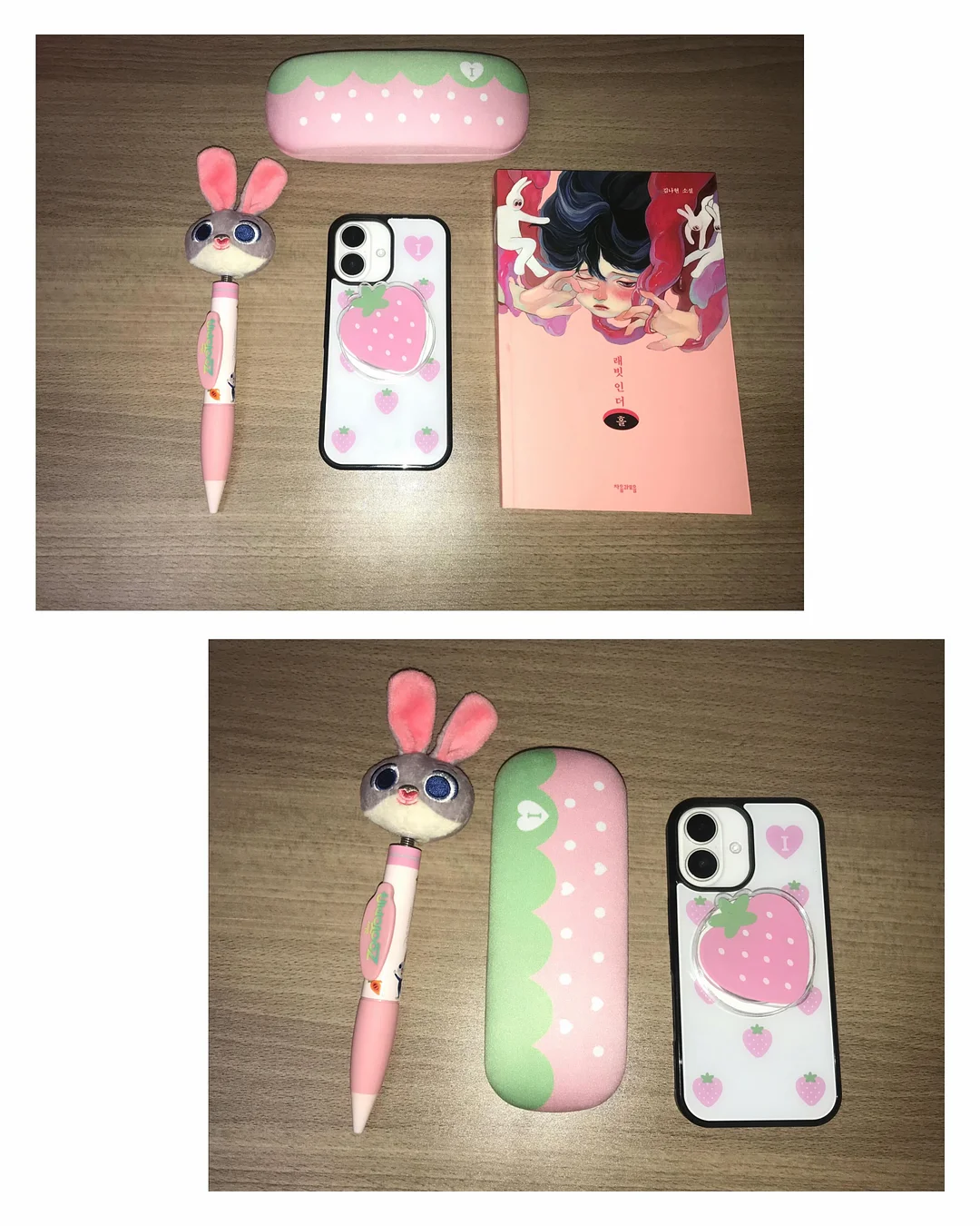 활 갑오징어 6