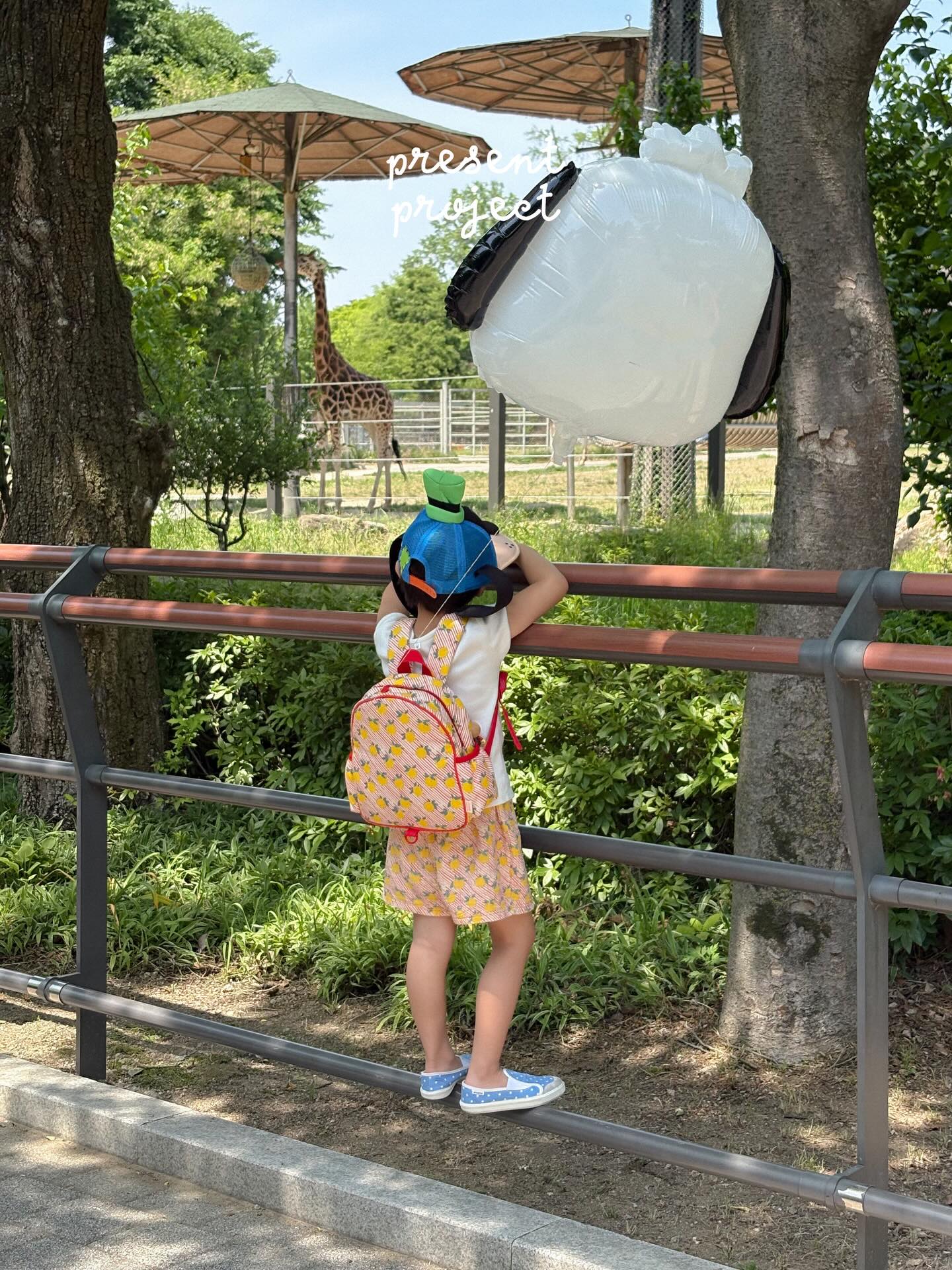 몽그레 소창수건, 소창 베개커버 1