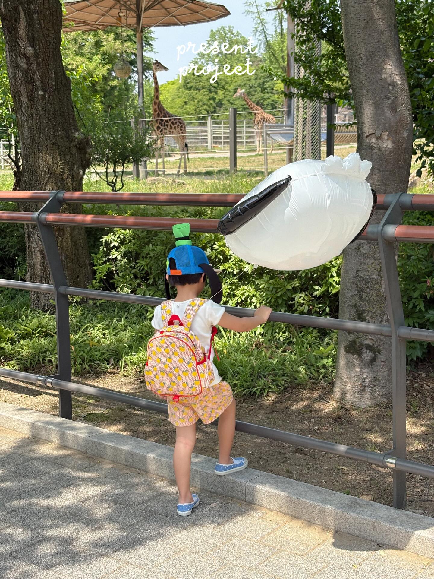 몽그레 소창수건, 소창 베개커버 2